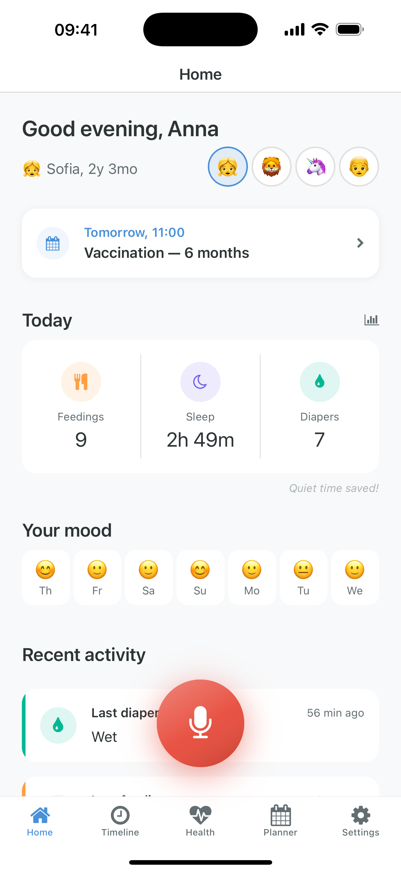 Voice input
