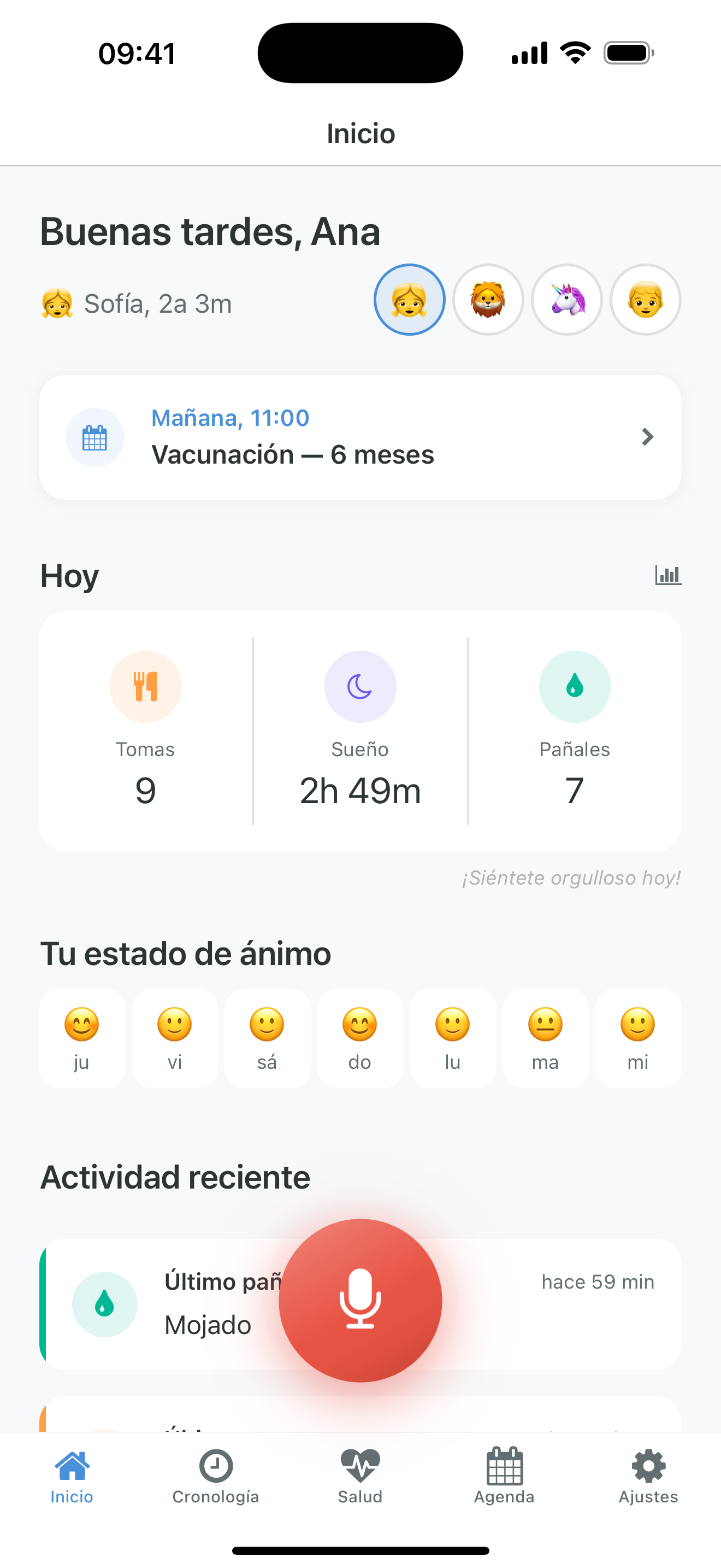 Entrada por voz